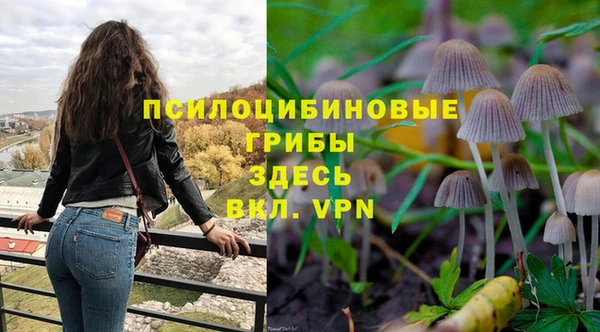 a pvp Аркадак