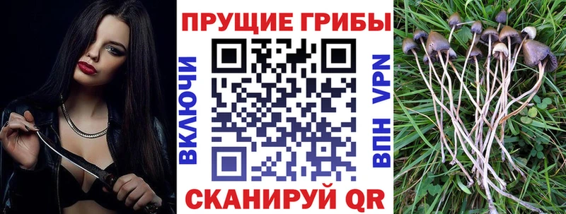 Псилоцибиновые грибы ЛСД  Жиздра 